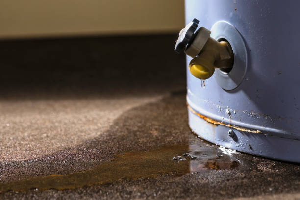 Best Mold removal after water damage  in Northport, NY