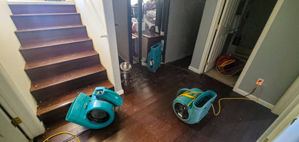 Best Fire Damage Restoration  in Northport, NY