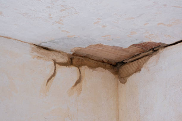 Best Water damage cleanup near me  in Northport, NY