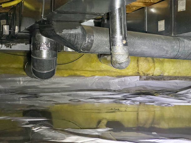 Best Water damage restoration near me  in Northport, NY