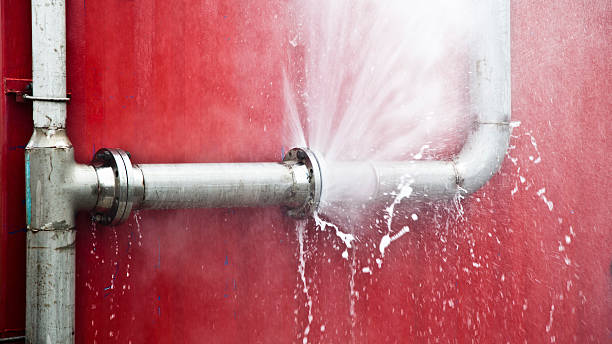 Best Flood damage cleanup  in Northport, NY